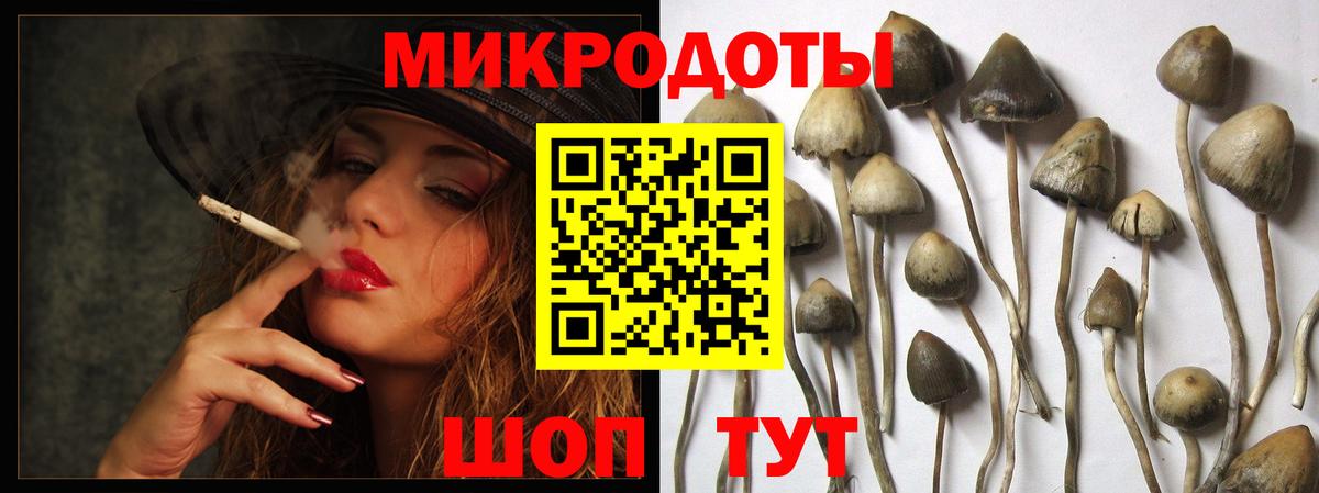 Галлюциногенные грибы MAGIC MUSHROOMS  где найти наркотики  Лянтор  Псилоцибиновые грибы GOLDEN TEACHER  Вход с VPN 